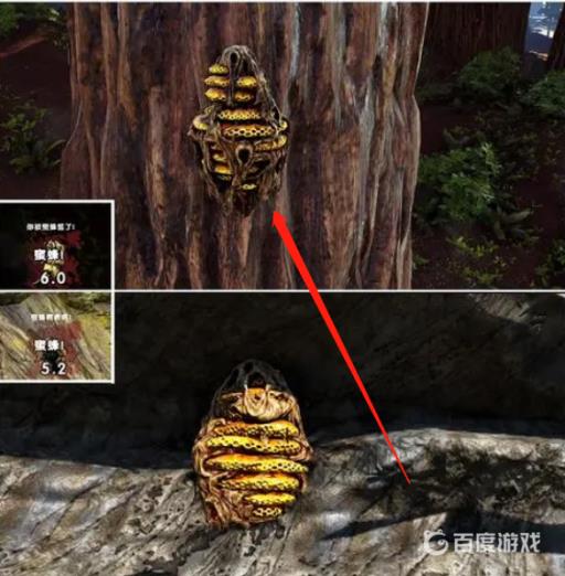 方舟生存进化巨型蜂巢怎么放置?2