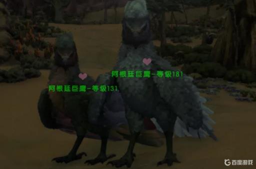 方舟阿根廷巨鹰蛋怎么孵化?1