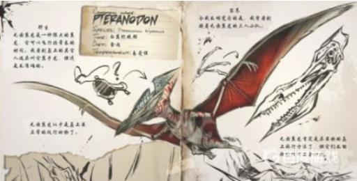 方舟无齿翼龙怎么驯服?3