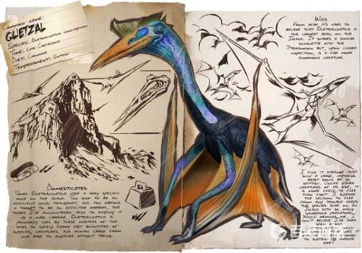 方舟怎么抓风神翼龙?_方舟风神翼龙怎么驯服