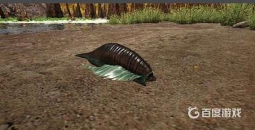 方舟水蛭怎么移除?_方舟生存进化水蛭怎么消掉