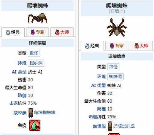 泰拉瑞亚地下蜘蛛洞有boss吗?3