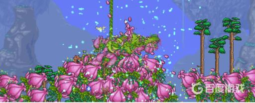 泰拉瑞亚世花花苞要多久长出来3