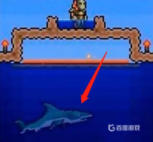 泰拉瑞亚鲨鱼多久刷一次?2