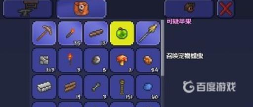 泰拉瑞亚召唤伤害是什么意思?2