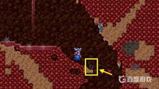 泰拉瑞亚闪耀根怎么快速获得?3