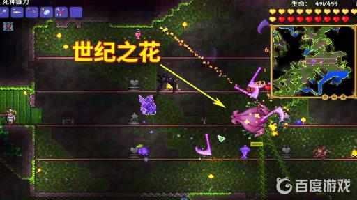 泰拉瑞亚世纪之花在哪?2