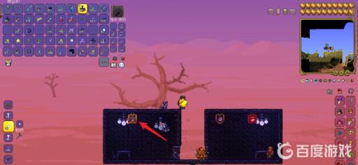 泰拉瑞亚军火商喜欢住哪?5