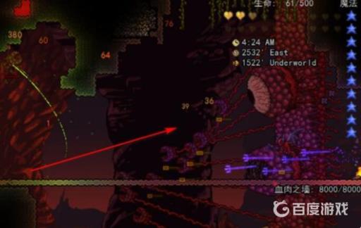 泰拉瑞亚肉山从哪边出来?2