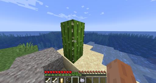 我的世界仙人掌如何催熟?3