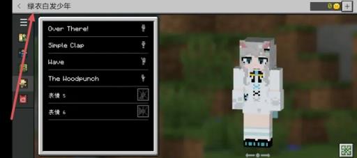 我的世界白喵皮肤叫什么?2