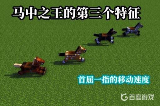 我的世界极品马的特点是什么?4