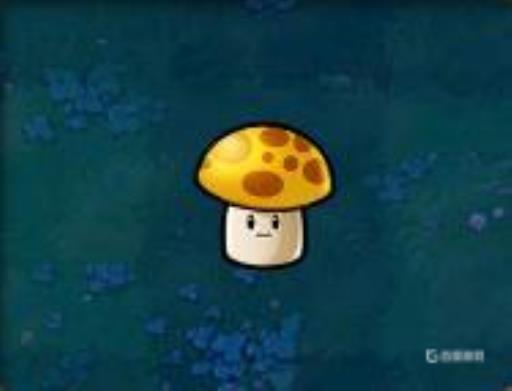 植物大战僵尸1植物顺序表是什么?10