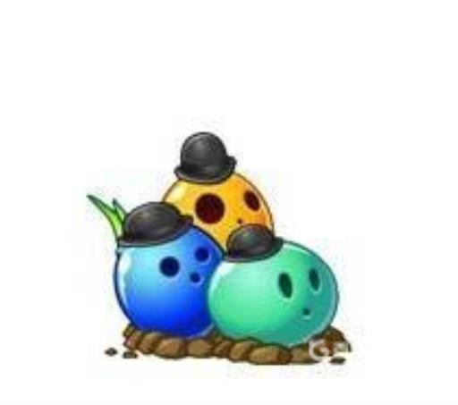 植物大战僵尸十大最强植物分别是什么?2