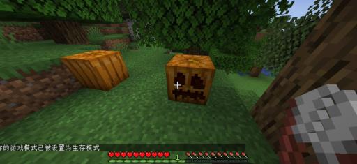 我的世界野南瓜怎么找?3