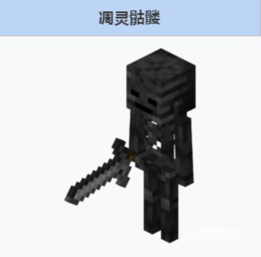 我的世界稀有物品有哪些?2