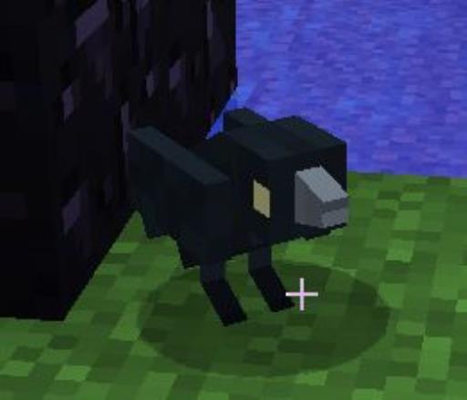 我的世界暮色森林魔法地图详解?2