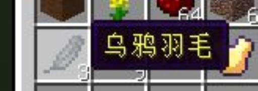 我的世界暮色森林魔法地图详解?3