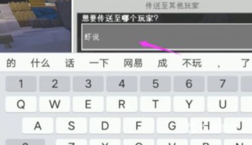 我的世界花雨庭怎么组队?7