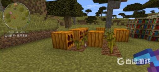 我的世界南瓜灯怎么做?3