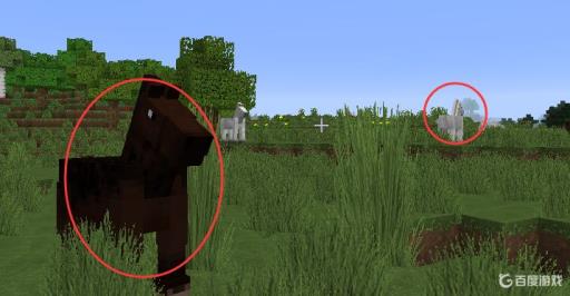 我的世界马怎么驯服怎么放鞍?2
