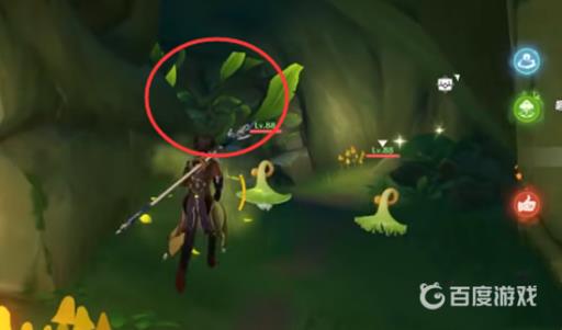 原神须弥的钵参花的山洞怎么进去?5