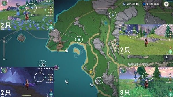 原神4.3枫丹晶碟采集路线图7