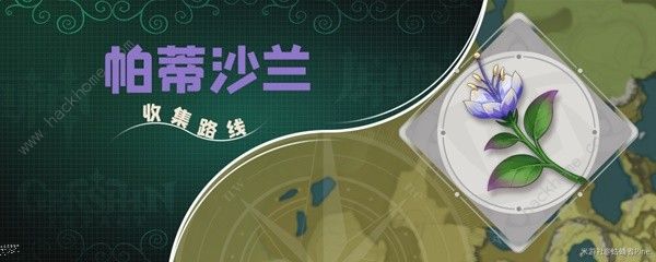 原神帕蒂沙兰新版采集位置大全1