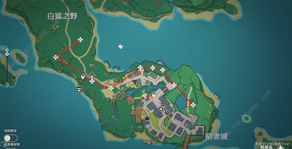 原神4.3绯樱绣球采集路线位置大全8