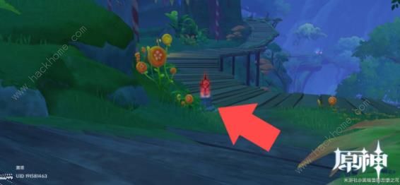 原神琉形蜃境攻略大全3