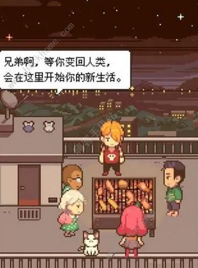 魔鼠克星攻略大全3