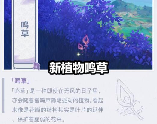 原神于狱中绽放之花任务攻略2