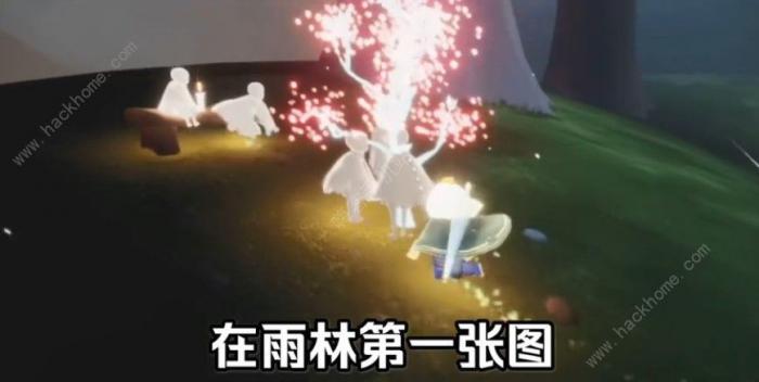 光遇赏花任务怎么做_光遇赏花任务怎么完成