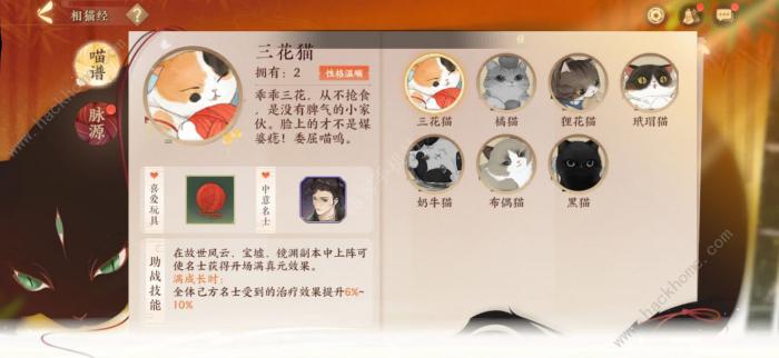 忘川风华录喵灵培养攻略1