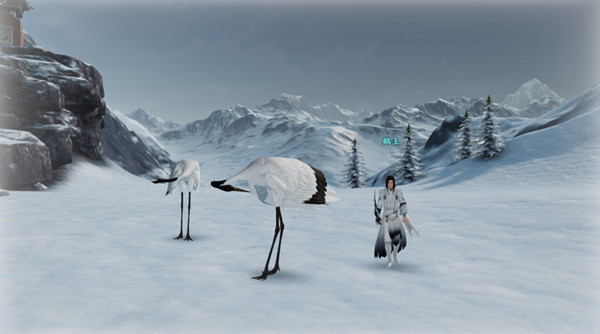 天涯明月刀手游心动贺华亭奇遇攻略2