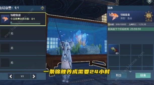 妄想山海锦鲤鱼苗在哪2