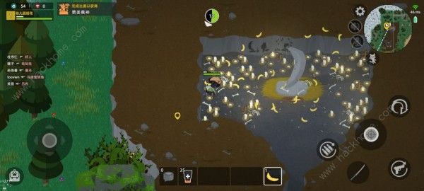 小动物之星奇遇总汇1