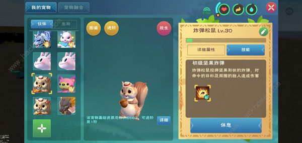 创造与魔法松鼠宠物厉害吗3