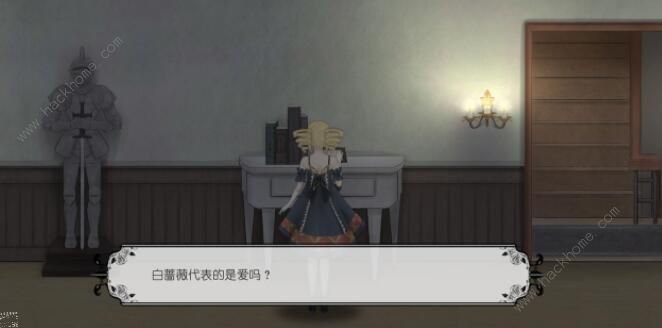 马戏团之夜新手攻略_马戏团之夜游戏攻略结局