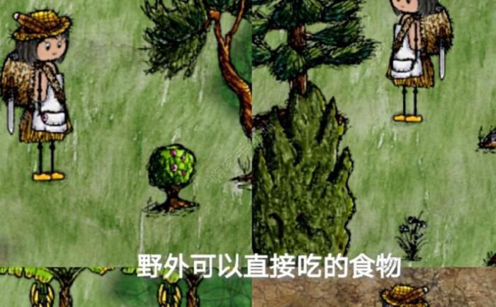 华夏人生种植攻略3