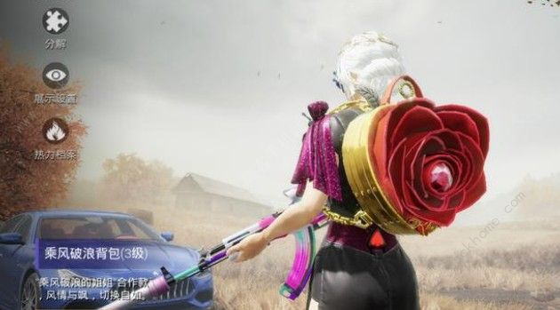 和平精英姐姐的化妆间全抽到要花费多少3