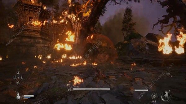 黑神话悟空黑熊精是第几个bOss1