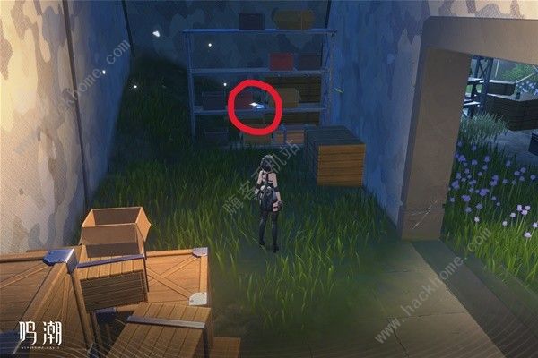 鸣潮无光之森生态调查探索攻略21