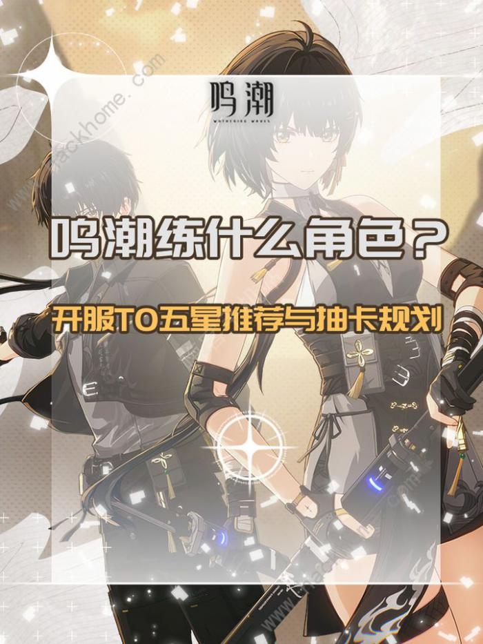 鸣潮开服T0五星推荐1