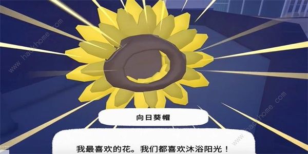 小猫咪大城市向日葵帽在哪1