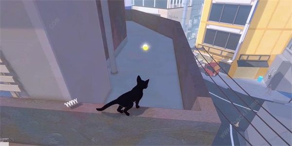 小猫咪大城市向日葵帽在哪5