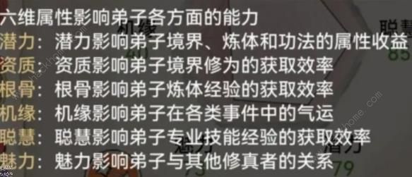 最强祖师六维怎么看2