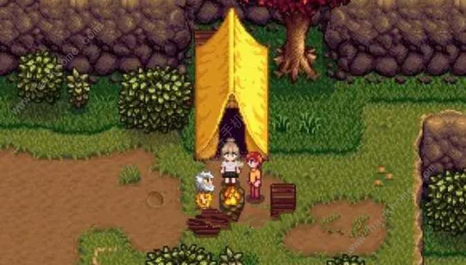 星露谷物语1.6金色鹦鹉在哪_星露谷物语1.6金色鹦鹉图文攻略