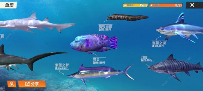 欢乐钓鱼大师称号鱼怎么钓2