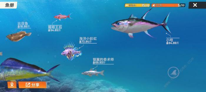 欢乐钓鱼大师藏宝图有什么用2